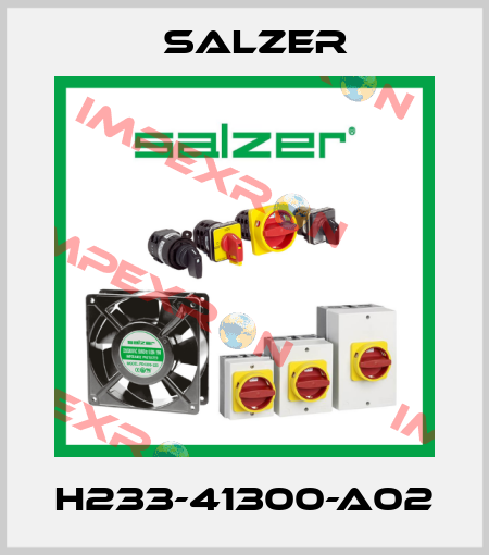 H233-41300-A02 Salzer