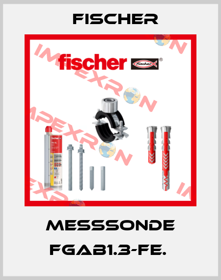 MESSSONDE FGAB1.3-Fe.  Fischer