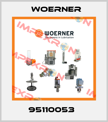 95110053   Woerner