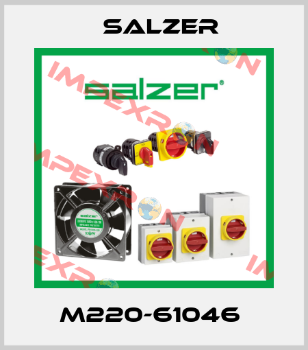 M220-61046  Salzer
