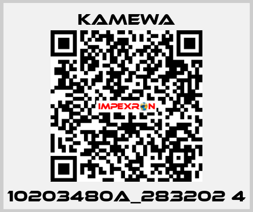 10203480A_283202 4 Kamewa