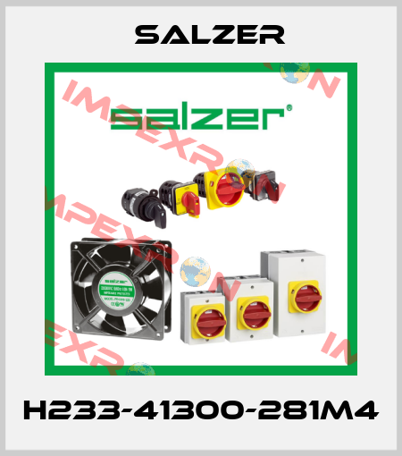 H233-41300-281M4 Salzer