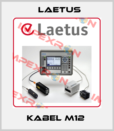 Kabel M12  Laetus