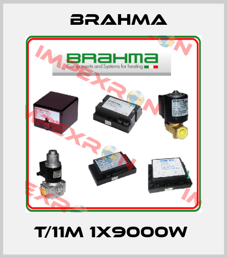 T/11M 1X9000W  Brahma