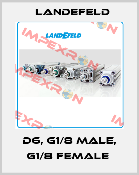 D6, G1/8 MALE, G1/8 FEMALE  Landefeld