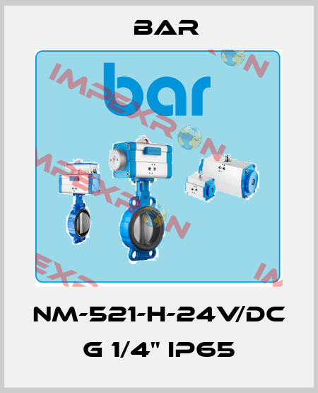 NM-521-H-24V/DC G 1/4" IP65 bar