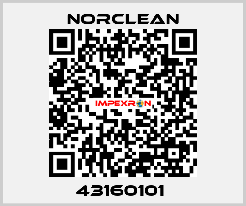 43160101  Norclean
