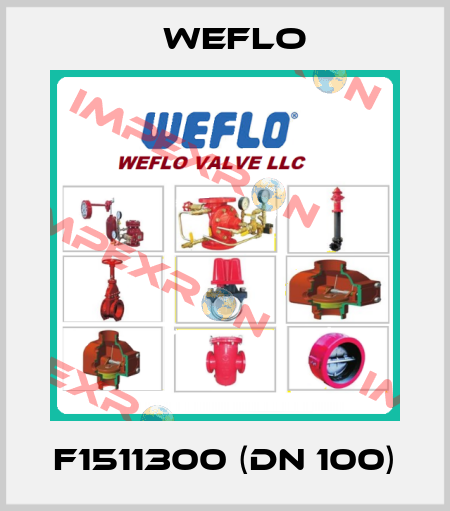 F1511300 (DN 100) Weflo