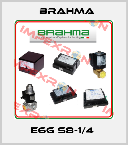 E6G S8-1/4  Brahma