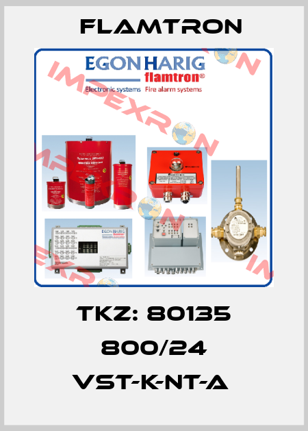 TKZ: 80135 800/24 VST-K-NT-A  Flamtron