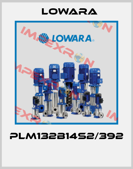 PLM132B14S2/392  Lowara