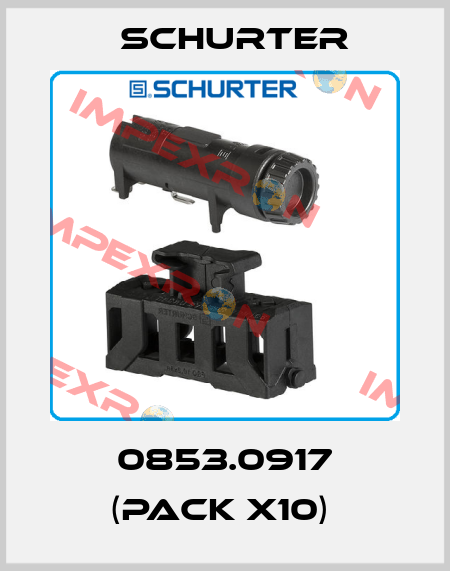 0853.0917 (pack x10)  Schurter
