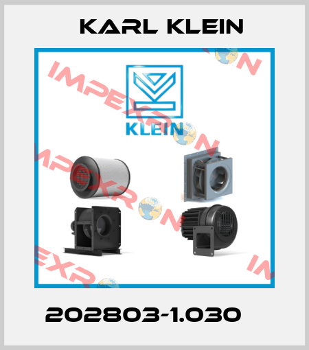 202803-1.030    Karl Klein