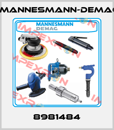 8981484 Mannesmann-Demag