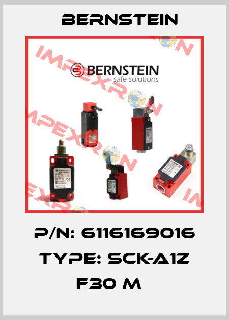 P/N: 6116169016 Type: SCK-A1Z F30 M   Bernstein