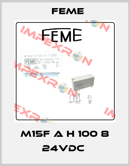 M15F A H 100 8 24VDC  Feme
