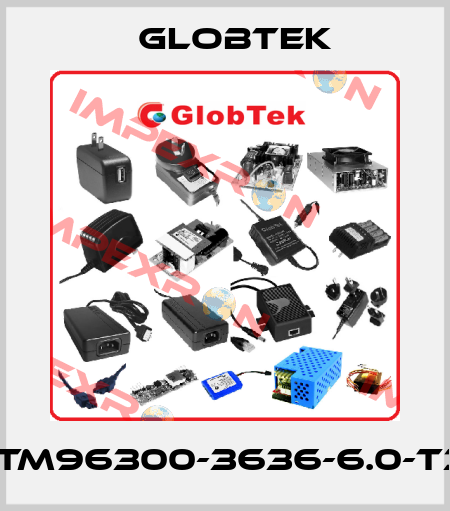 GTM96300-3636-6.0-T3* Globtek
