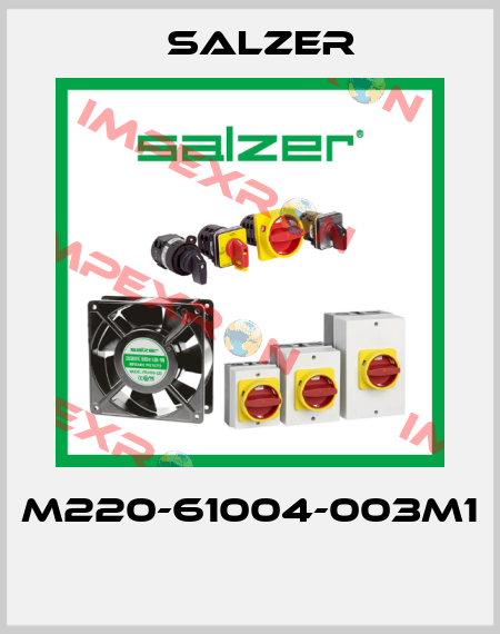 M220-61004-003M1  Salzer