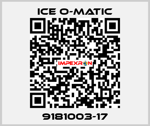 9181003-17 Ice O-Matic