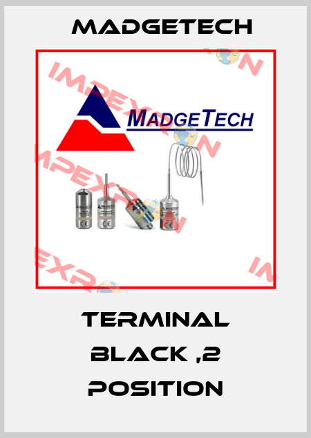 Terminal Black ,2 Position Madgetech