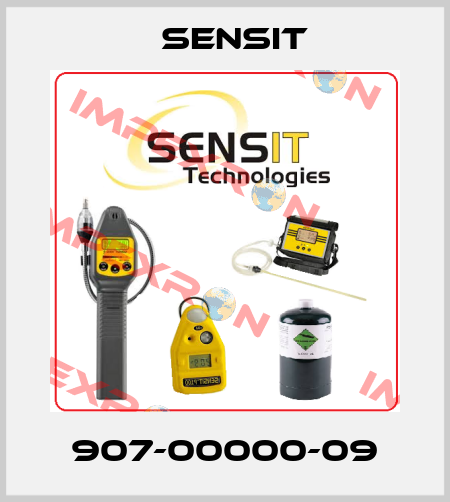 907-00000-09 Sensit