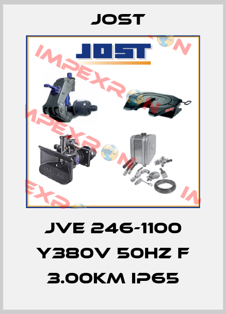 JVE 246-1100 Y380V 50HZ F 3.00KM IP65 Jost