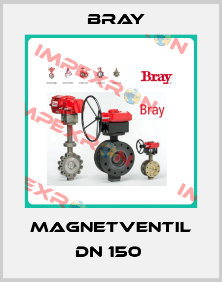 MAGNETVENTIL DN 150  Bray