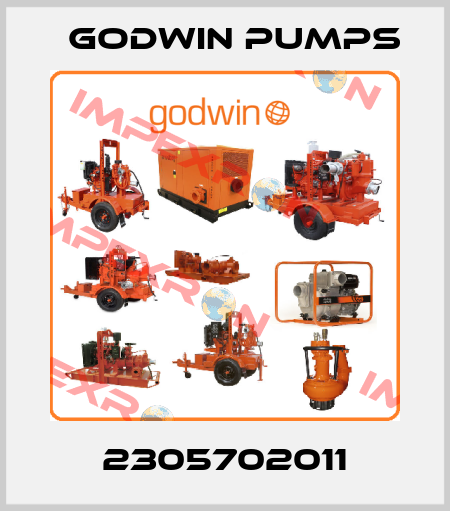2305702011 Godwin Pumps