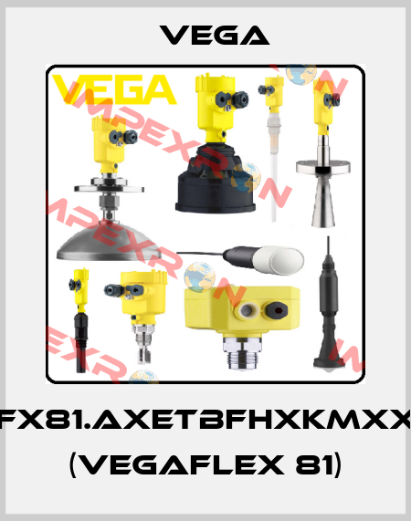 FX81.AXETBFHXKMXX (VEGAFLEX 81) Vega