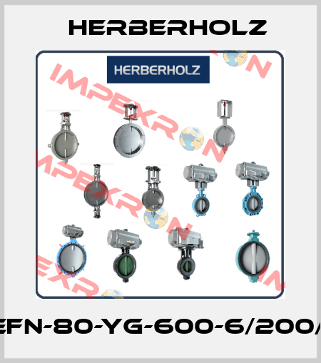 HRA-efn-80-yg-600-6/200/SQ60 Herberholz