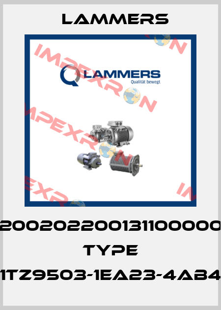 02002022001311000000 Type 1TZ9503-1EA23-4AB4 Lammers