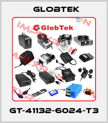 GT-41132-6024-T3 Globtek