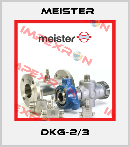 DKG-2/3 Meister