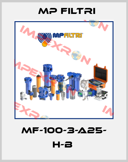 MF-100-3-A25- H-B  MP Filtri