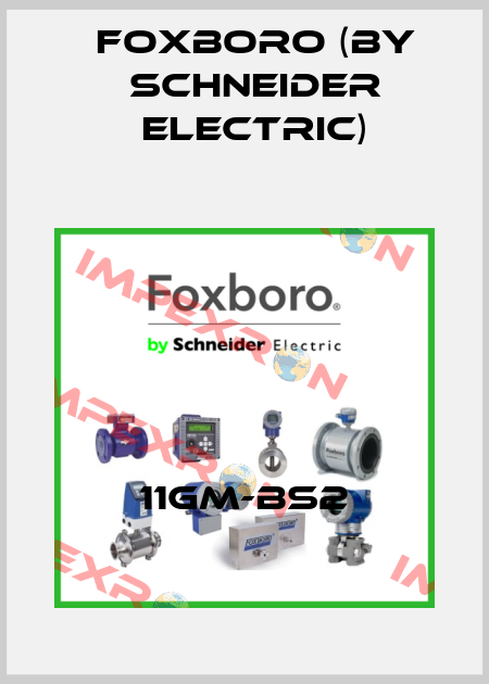 11GM-BS2 Foxboro (by Schneider Electric)