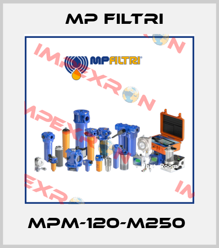 MPM-120-M250  MP Filtri