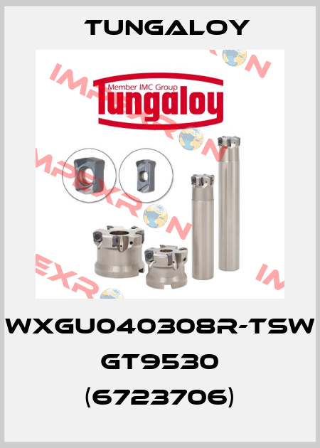 WXGU040308R-TSW GT9530 (6723706) Tungaloy