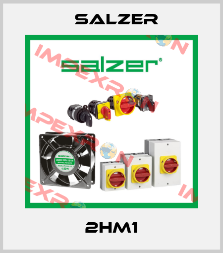 2HM1 Salzer