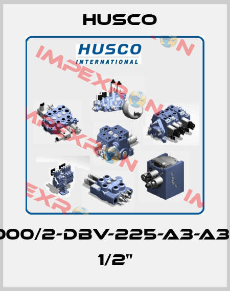 5000/2-DBV-225-A3-A3-R 1/2" Husco