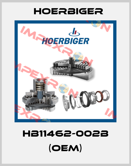 HB11462-002B (OEM) Hoerbiger