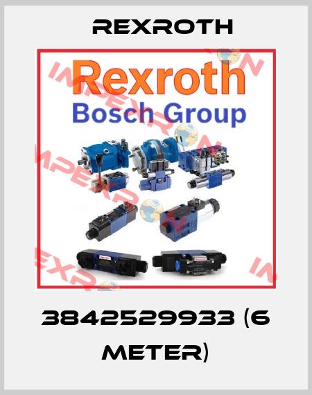 3842529933 (6 meter) Rexroth