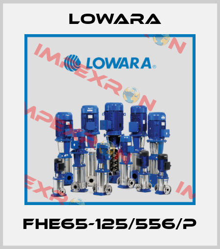 FHE65-125/556/P Lowara