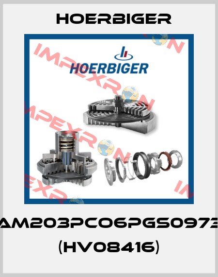 SAM203PCO6PGS0973B (HV08416) Hoerbiger
