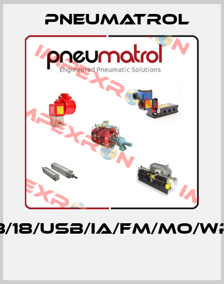 PA123/18/USB/ia/FM/MO/WP/NPT  Pneumatrol