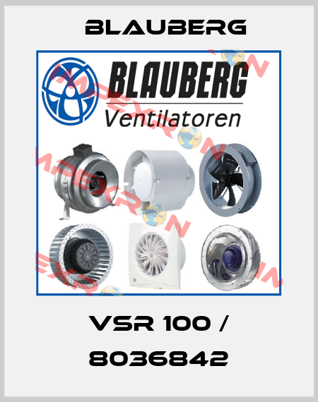 VSR 100 / 8036842 Blauberg