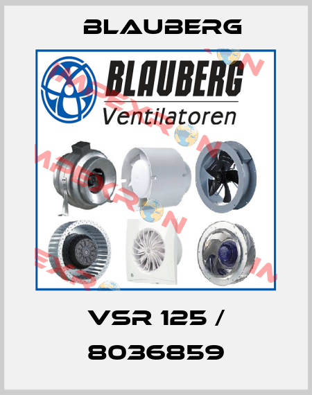 VSR 125 / 8036859 Blauberg