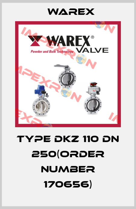 Type DKZ 110 DN 250(order number 170656) Warex