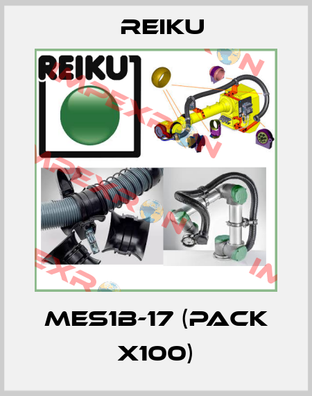 MES1B-17 (pack x100) REIKU
