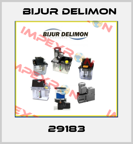 29183 Bijur Delimon