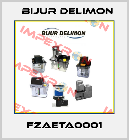 FZAETA0001 Bijur Delimon